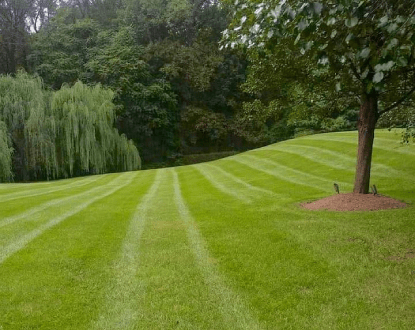 LAWN MOWING SERVICES