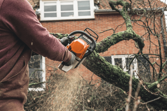 Abel’s Tree Service
