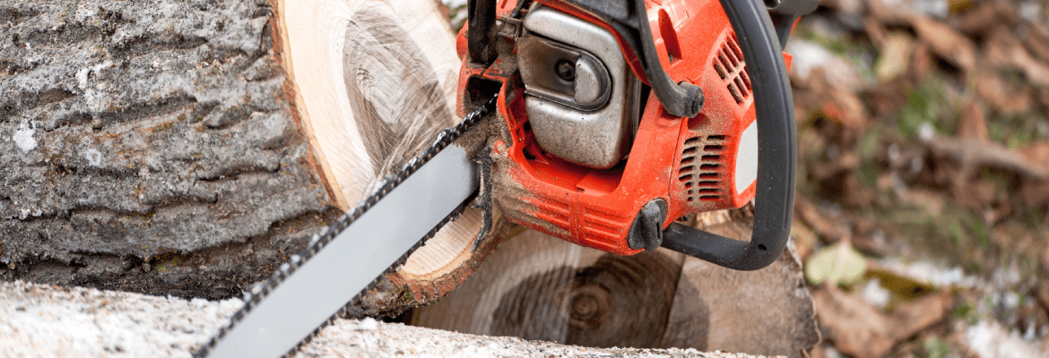 Abel’s Tree Service