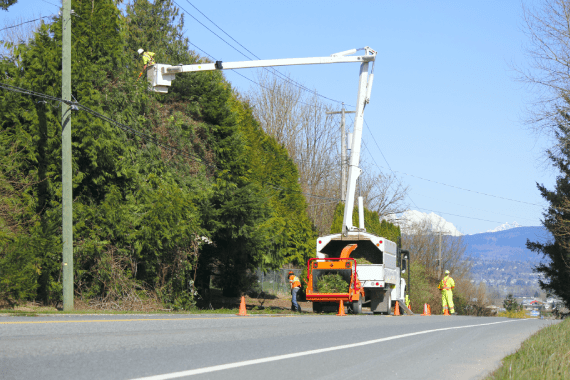 Abel’s Tree Service