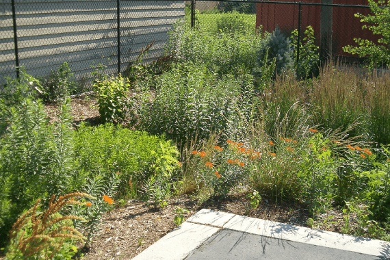 Abel’s Tree Service