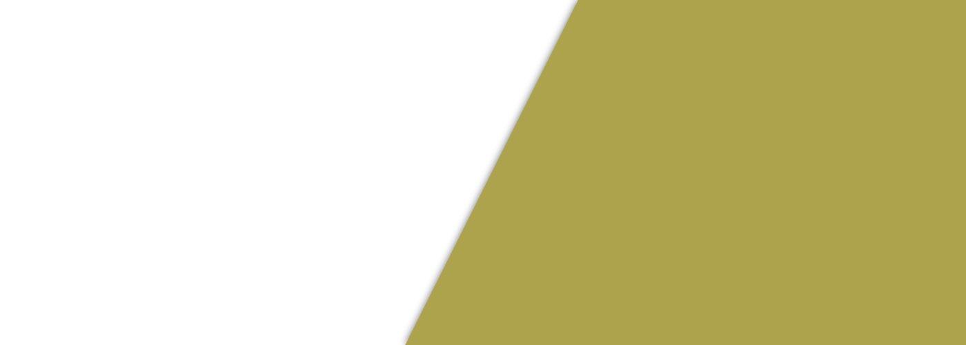 Hair Extension Service