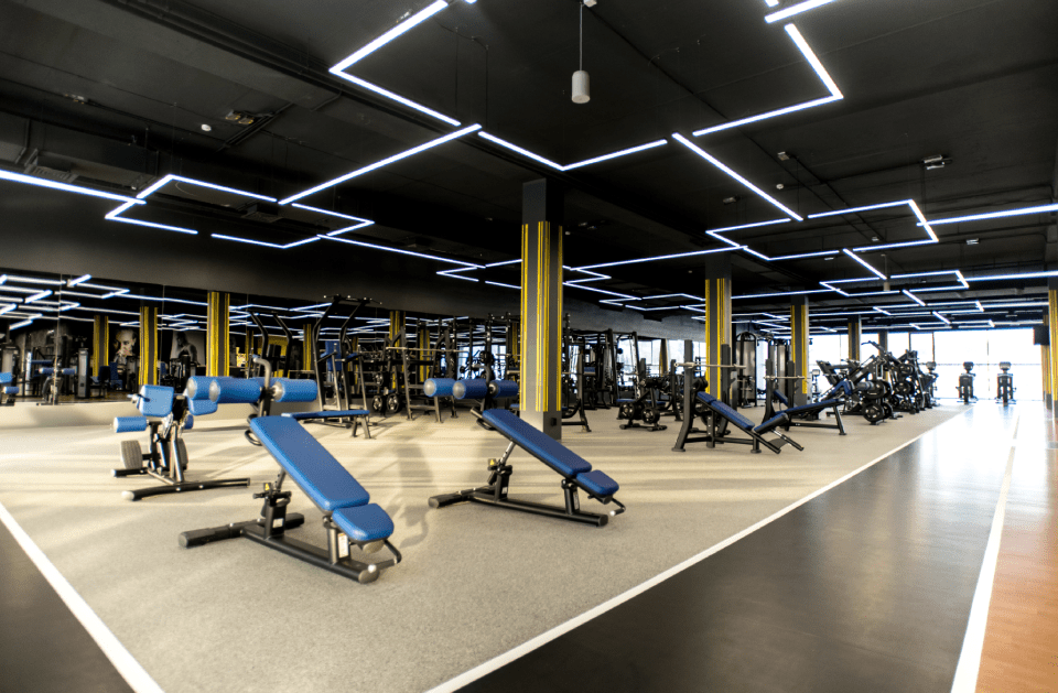 Mickie's Finest Clean