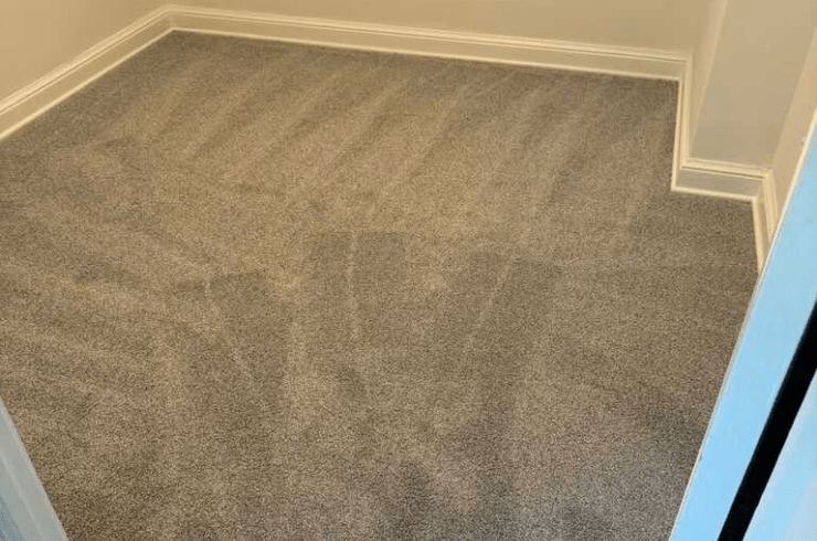 Salvador and Sons Construction