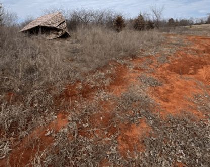 LAND CLEARING