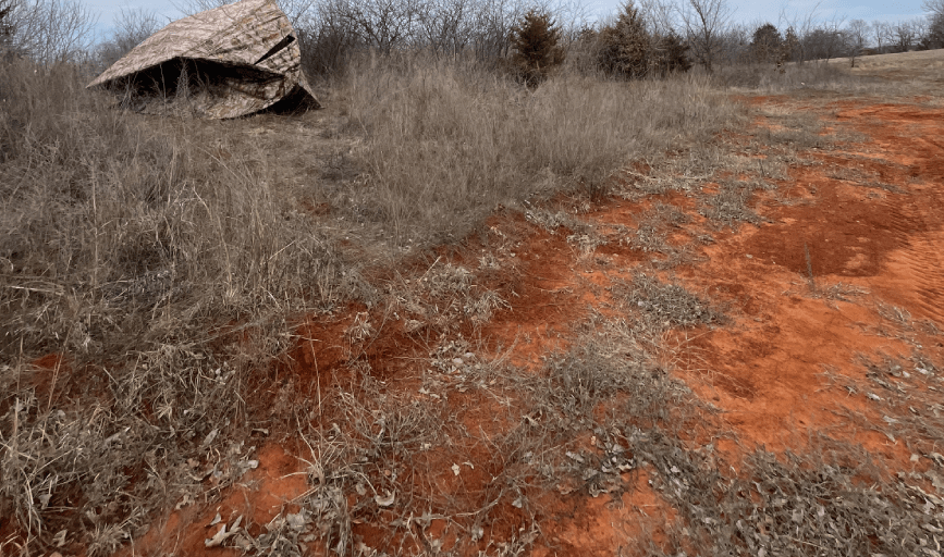 Apex Land Management