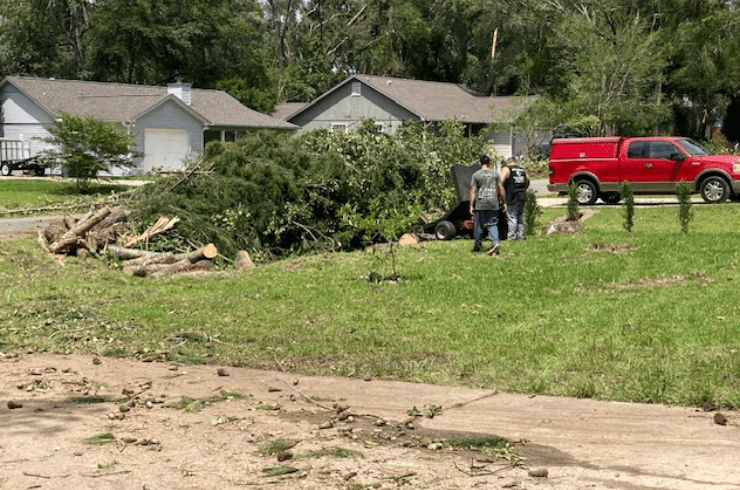 Paul Wall's Stump Grinding and Tree Removal