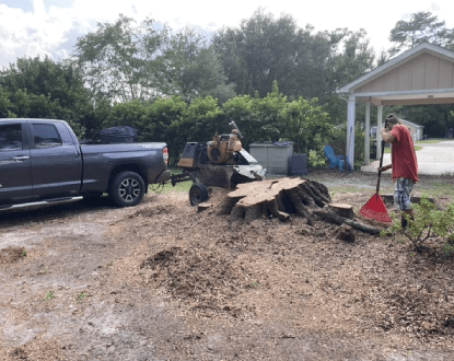 STUMP GRINDING