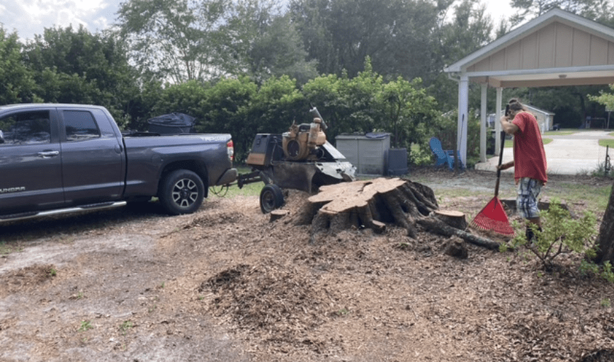 Paul Wall's Stump Grinding and Tree Removal