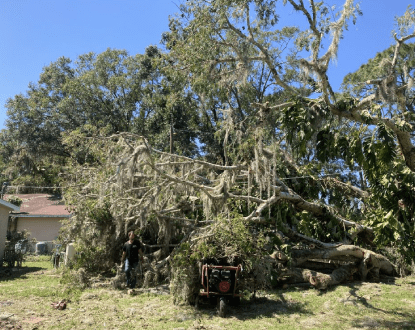 EMERGENCY TREE REMOVAL