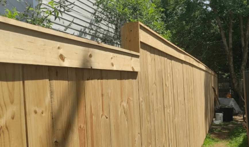 Southern Coastal Greenery