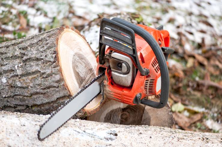 Apex Project Solutions Tree Division