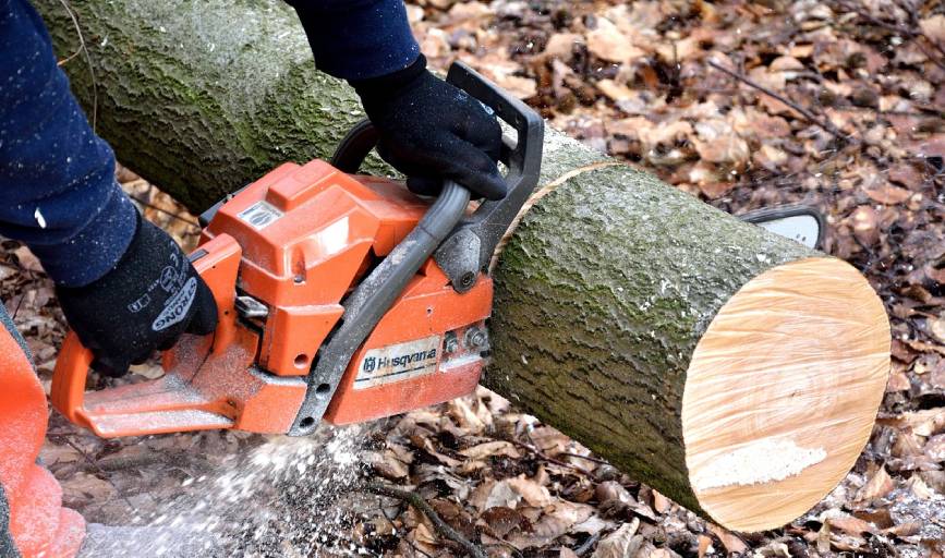 Apex Project Solutions Tree Division