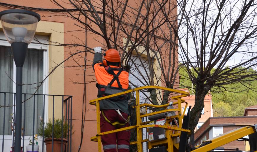 Apex Project Solutions Tree Division