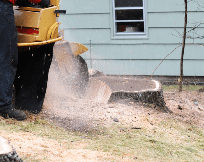 STUMP GRINDING