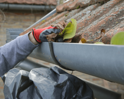 GUTTER CLEANING SERVICES