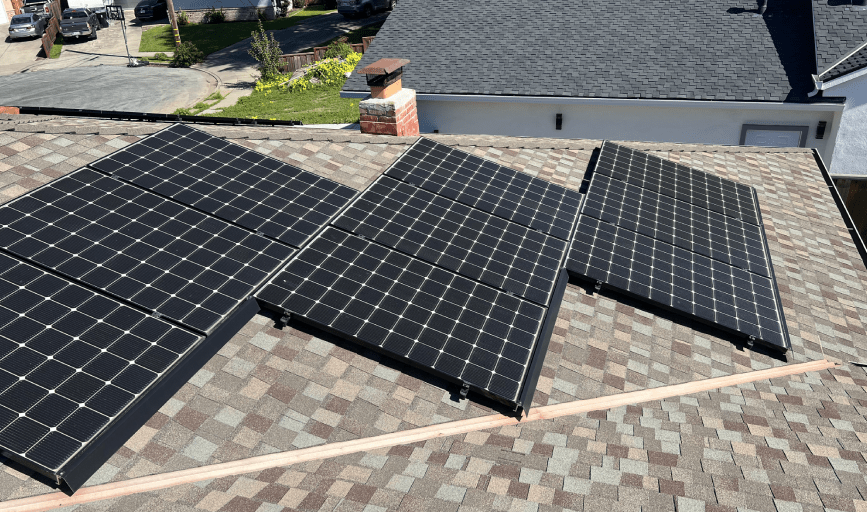 Mango Tree Home Service