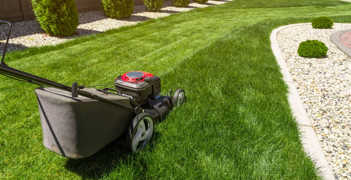 SEG Lawncare