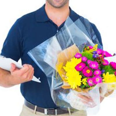 ORCHID ARRANGEMENT DELIVERIES