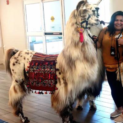 CORPORATE EVENT SERVICE