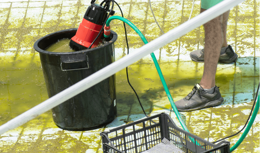 South Texas Water Blast