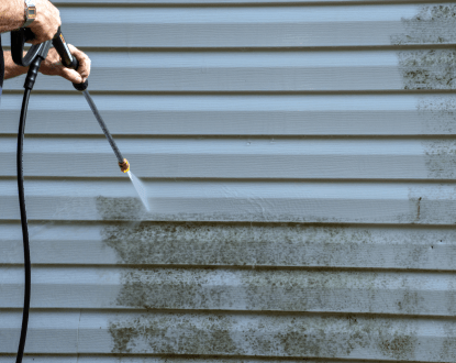 MOLD REMOVAL SERVICES