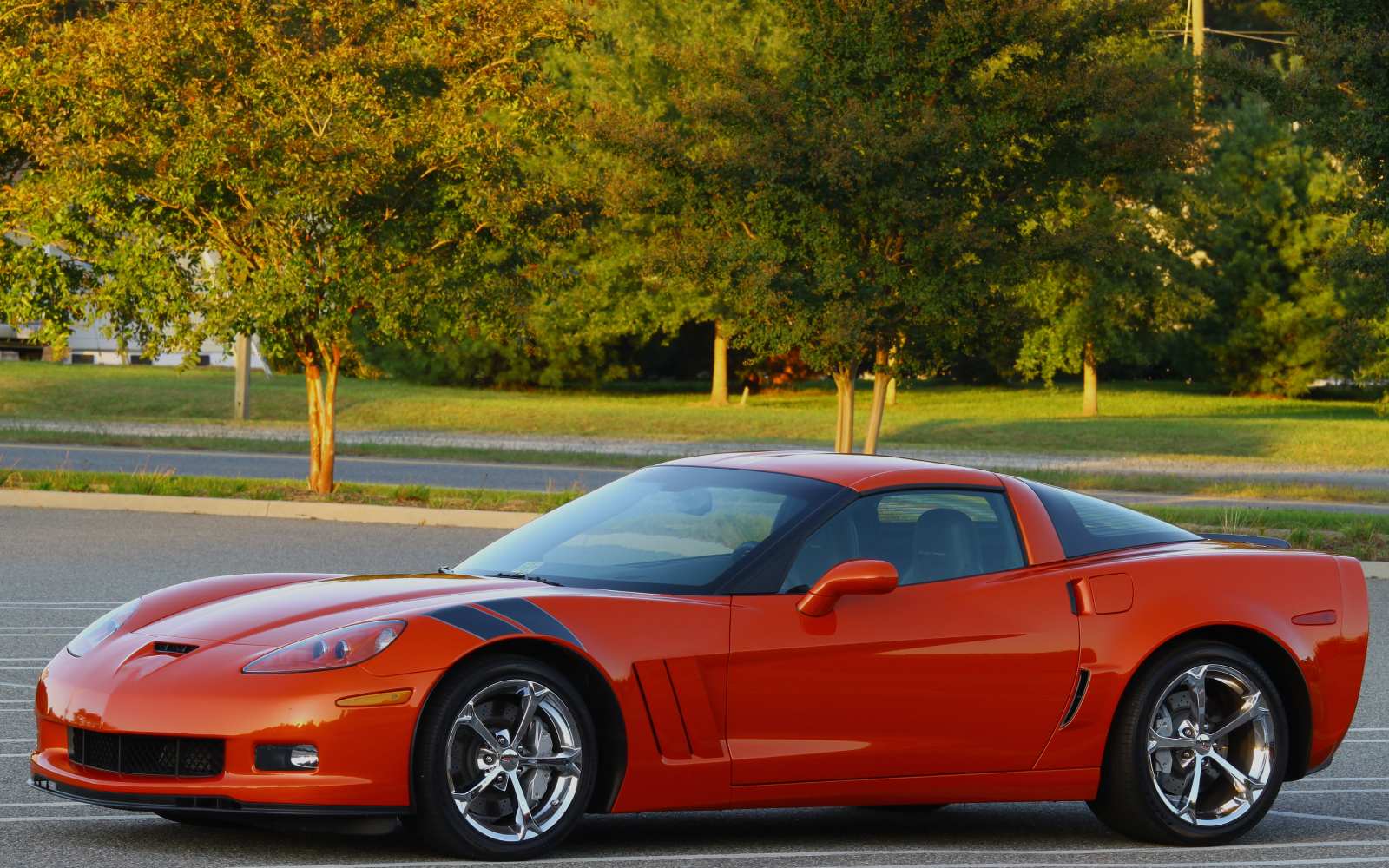 Vehicle Registration Services