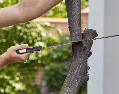 RESIDENTIAL TREE SERVICES