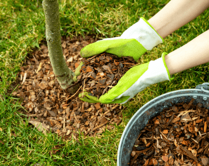MULCHING