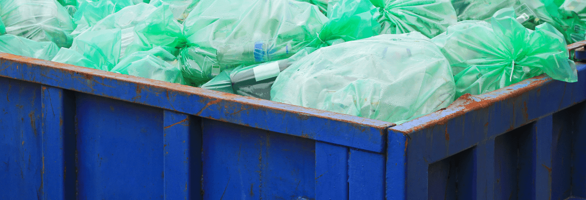 Yeniel Veloz Services