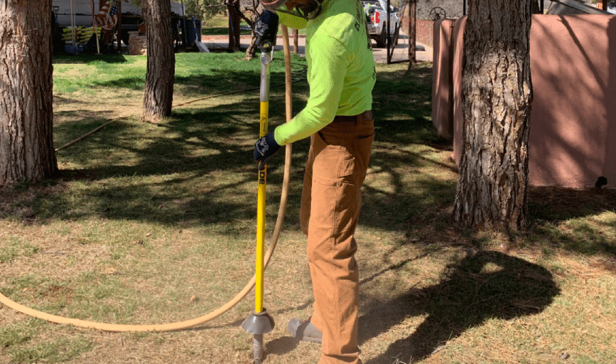 Climb It High Tree Experts