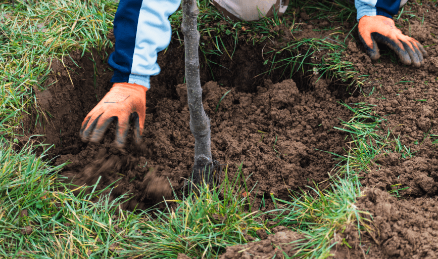 Steven's Landscaping Pro Service