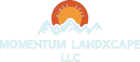 Momentum Landxcape