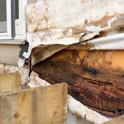 DRY ROT REPAIR
