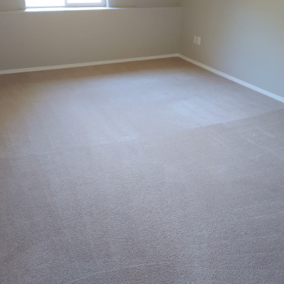 CARPET CLEANING