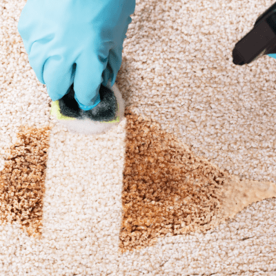 CARPET ODOR REMOVAL