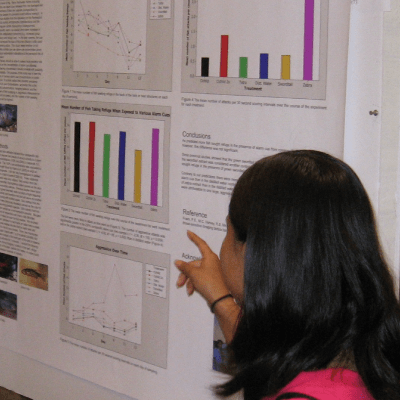 SUMMER TUTORING PROGRAM