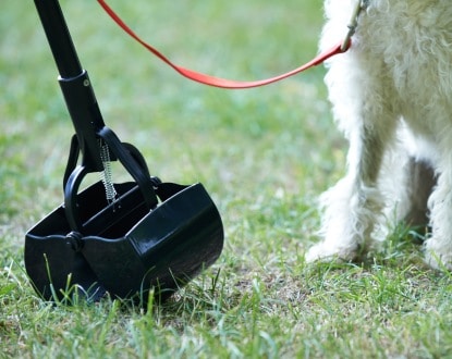 PET WASTE CLEANUP