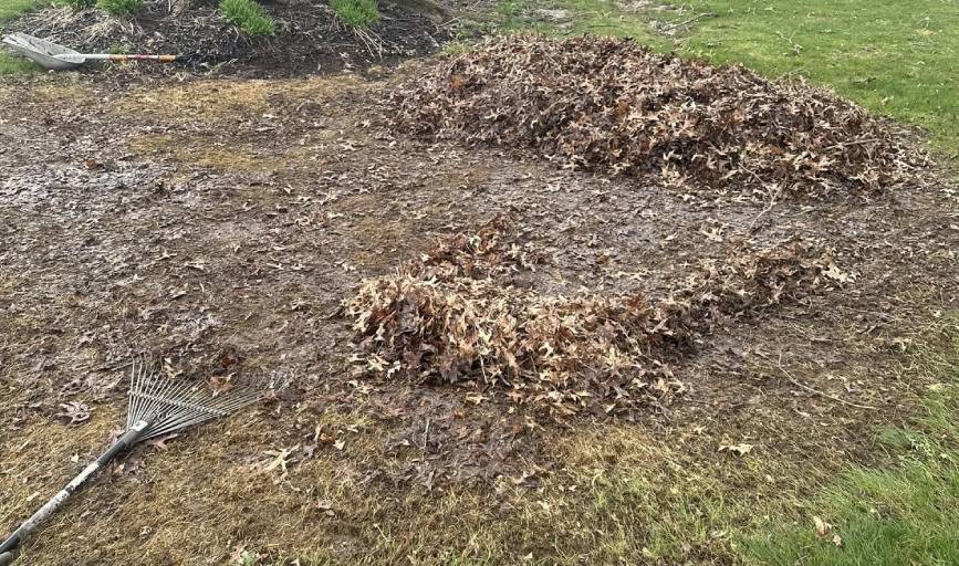 Carr's Lawn Care Services