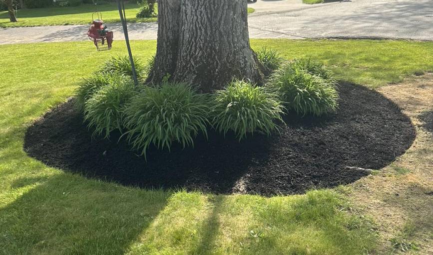 Carr's Lawn Care Services