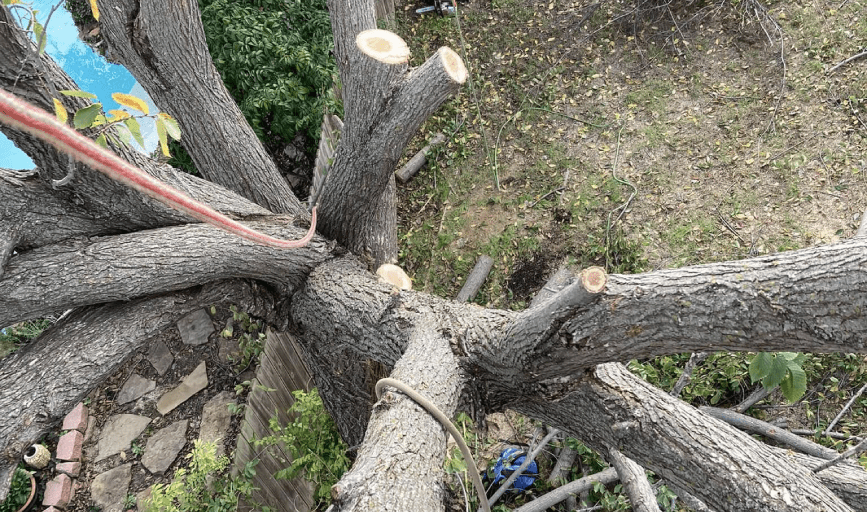 JC Contracting Group