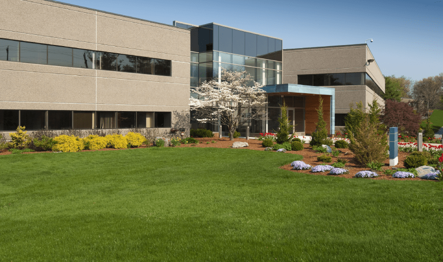 Victor Landscaping Services