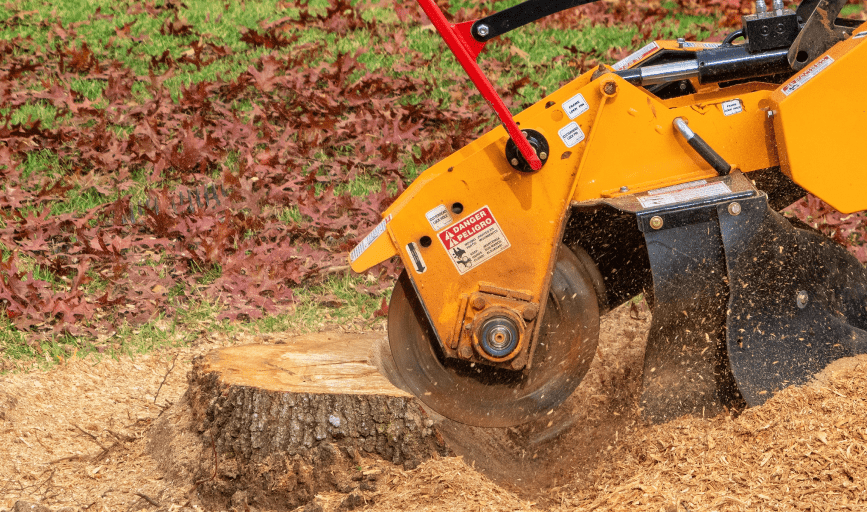 Eckerson's Tree Services