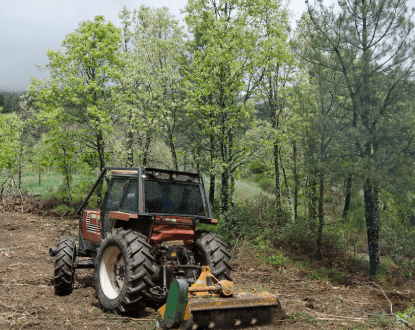 LAND CLEARING SERVICE