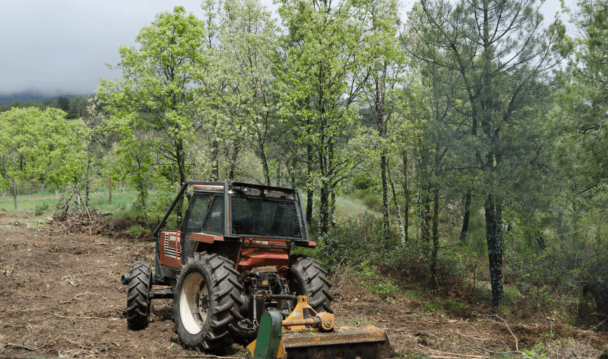 Eckerson's Tree Services