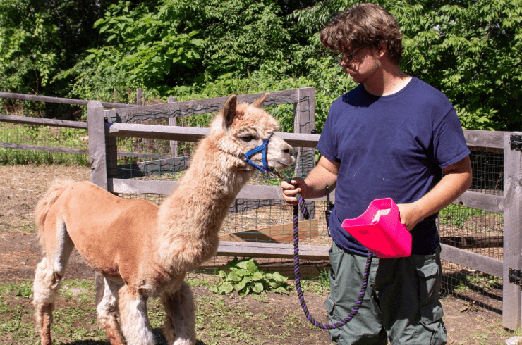 Andrew Perrin Animal Services