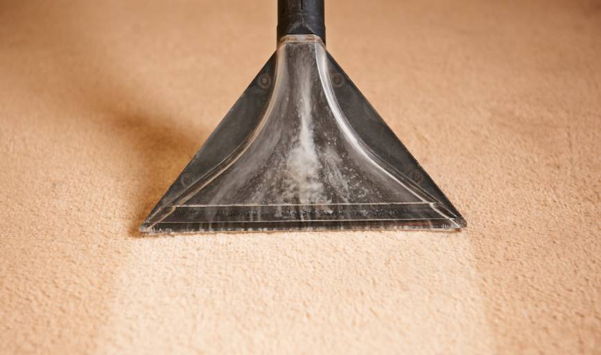 Affordable Carpet Cleaning