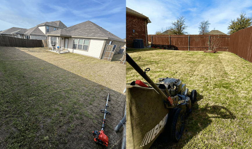 Bright Beginnings Landscapes