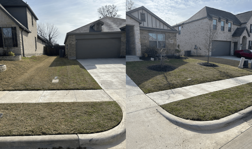 Bright Beginnings Landscapes