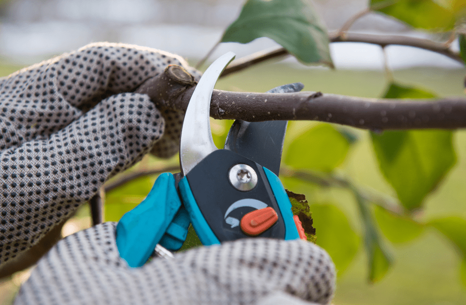 Moreira's Landscaping